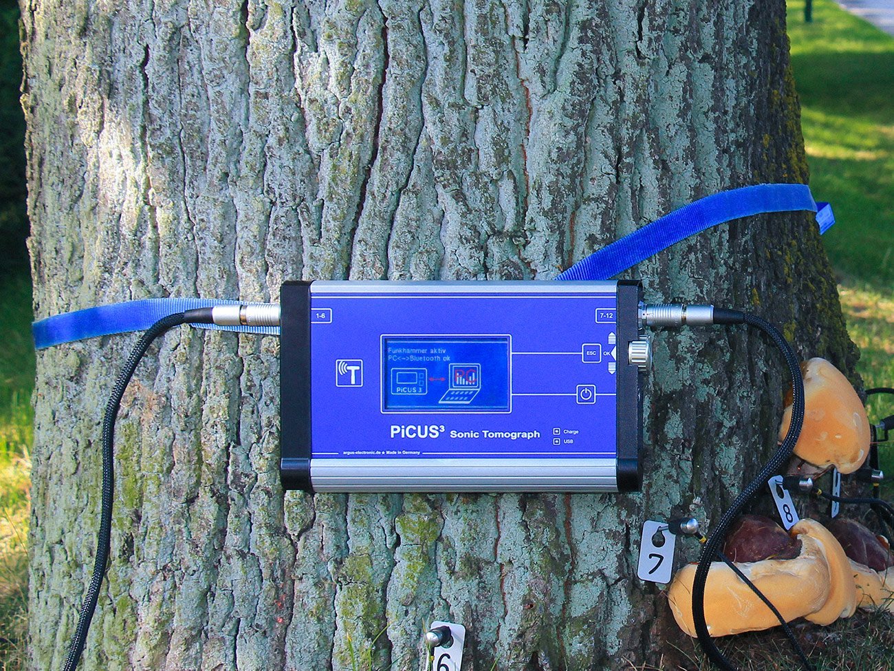 PiCUS Sonic Tomograph Device